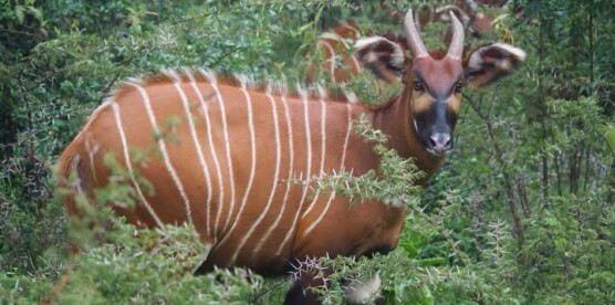 The Hidden Cost of Progress