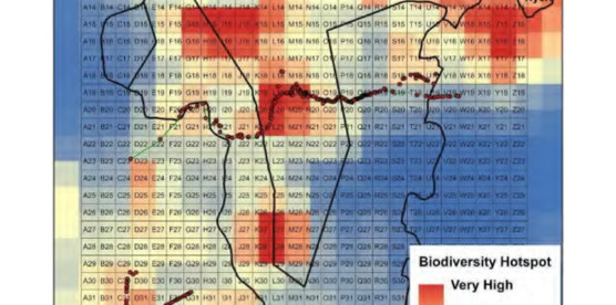 Rethinking Infrastructure: Why the Ihithe – Ndunyu Njeru Road Poses an Unacceptable Risk to Aberdare Biodiversity